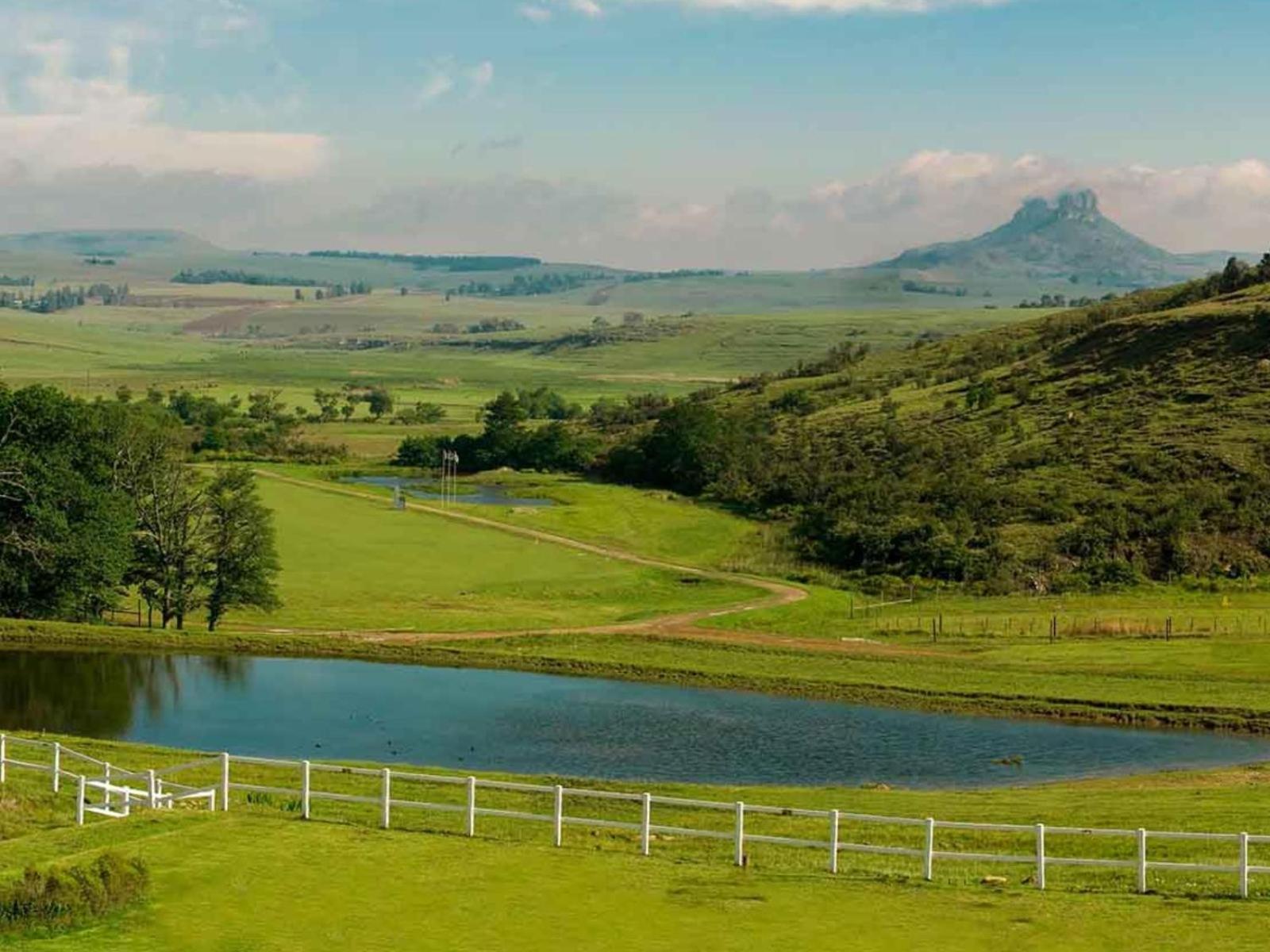 Oaklands Farm Stay Van Reenen Esterno foto